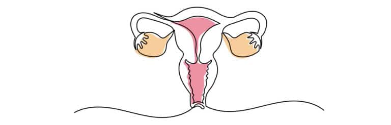 Ilustración simple del aparato reproductor femenino mostrando útero en rosa y ovarios en beige, utilizada para explicar temas de fertilidad y quistes ováricos.