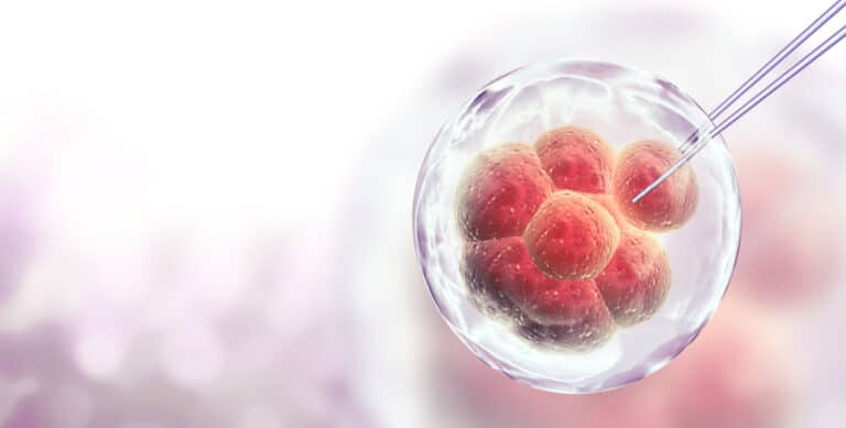 Microimagen de embrión en laboratorio siendo manipulado con micropipeta durante un procedimiento de fertilización asistida.