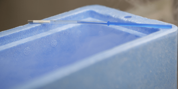 Contenedor criogénico con nitrógeno líquido para congelar óvulos.